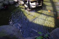 0330 Südostasien Auswahl 2017