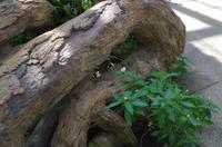 0332 Südostasien Auswahl 2017