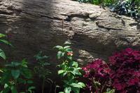 0333 Südostasien Auswahl 2017