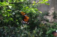 0334 Südostasien Auswahl 2017