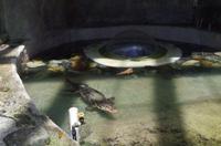 0337 Südostasien Auswahl 2017