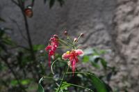 0343 Südostasien Auswahl 2017