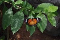 0344 Südostasien Auswahl 2017