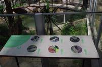 0345 Südostasien Auswahl 2017