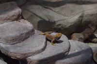 0347 Südostasien Auswahl 2017