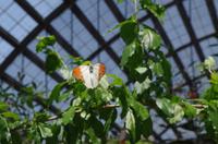 0351 Südostasien Auswahl 2017