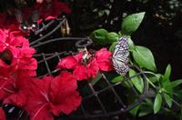 0355 Südostasien Auswahl 2017