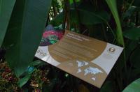 0357 Südostasien Auswahl 2017