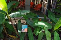 0360 Südostasien Auswahl 2017