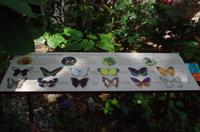 0361 Südostasien Auswahl 2017