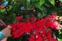 0362 Südostasien Auswahl 2017