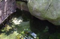 0365 Südostasien Auswahl 2017