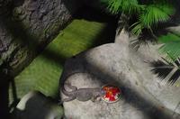 0366 Südostasien Auswahl 2017