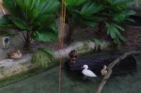 0370 Südostasien Auswahl 2017