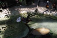 0372 Südostasien Auswahl 2017