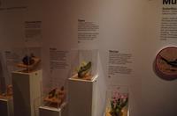 0377 Südostasien Auswahl 2017