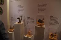 0378 Südostasien Auswahl 2017