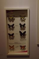 0379 Südostasien Auswahl 2017