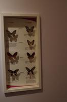 0380 Südostasien Auswahl 2017