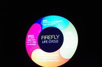 0381 Südostasien Auswahl 2017