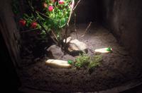 0382 Südostasien Auswahl 2017