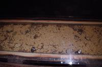 0383 Südostasien Auswahl 2017