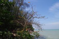 0395 Südostasien Auswahl 2017