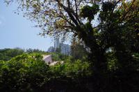 0397 Südostasien Auswahl 2017