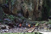 0422 Südostasien Auswahl 2017