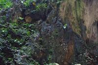 0423 Südostasien Auswahl 2017