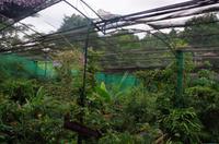 0466 Südostasien Auswahl 2017