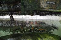 0467 Südostasien Auswahl 2017