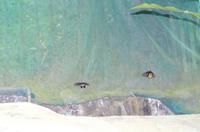 0469 Südostasien Auswahl 2017