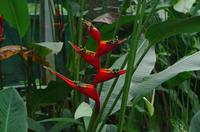 0470 Südostasien Auswahl 2017