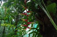 0471 Südostasien Auswahl 2017