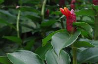 0473 Südostasien Auswahl 2017