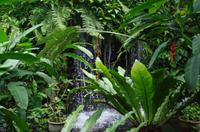 0475 Südostasien Auswahl 2017