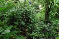 0476 Südostasien Auswahl 2017