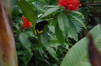 0479 Südostasien Auswahl 2017