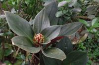 0480 Südostasien Auswahl 2017