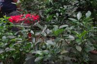 0481 Südostasien Auswahl 2017