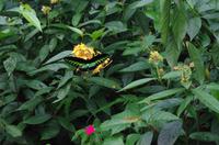 0482 Südostasien Auswahl 2017