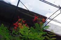 0485 Südostasien Auswahl 2017