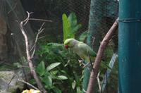 0488 Südostasien Auswahl 2017