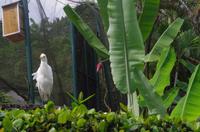 0489 Südostasien Auswahl 2017