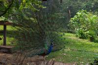 0493 Südostasien Auswahl 2017