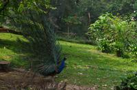 0494 Südostasien Auswahl 2017