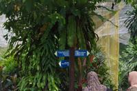 0495 Südostasien Auswahl 2017