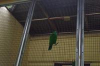 0498 Südostasien Auswahl 2017