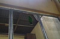 0499 Südostasien Auswahl 2017